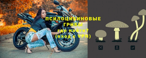 ешки Абаза