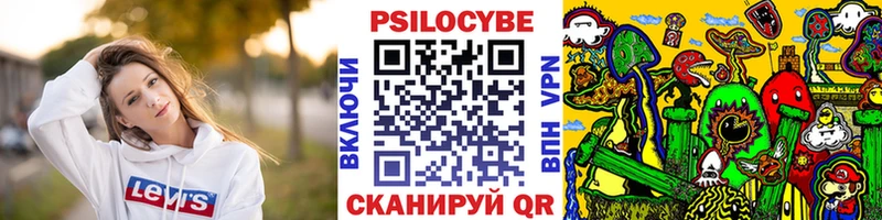 наркошоп  Батайск  Псилоцибиновые грибы GOLDEN TEACHER 